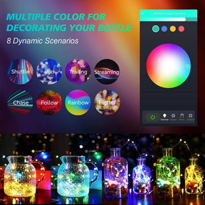 Smart RGB LED Fairy Lights – 5m